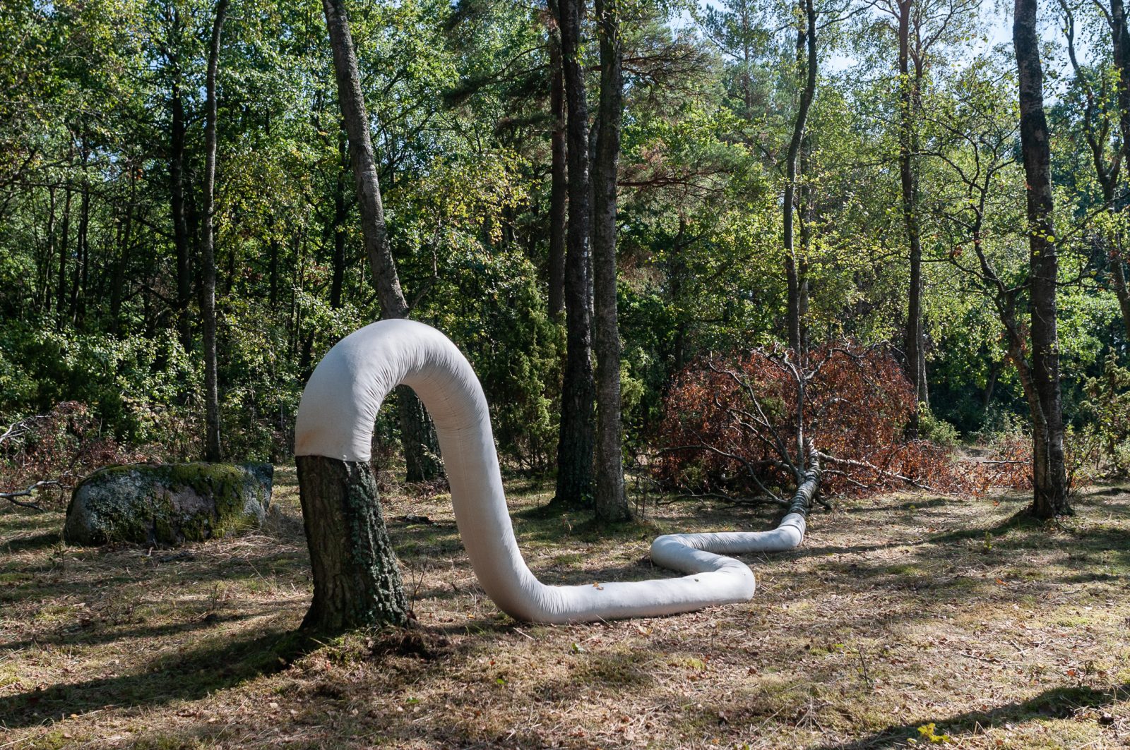 Land404